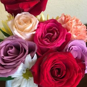 Meet your Posher, Susanna